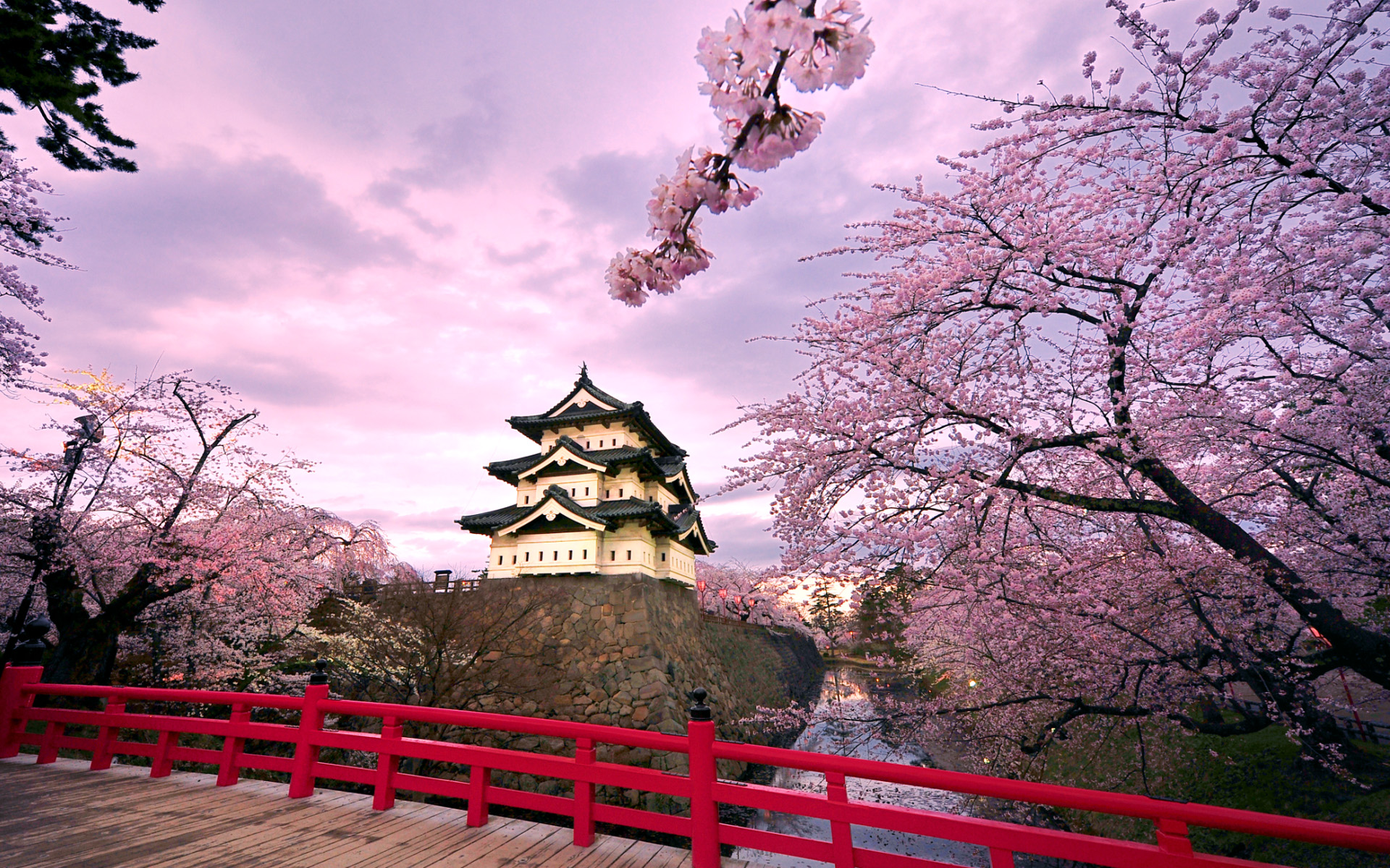 6970942-japan-castle-wallpaper-sakura-hd